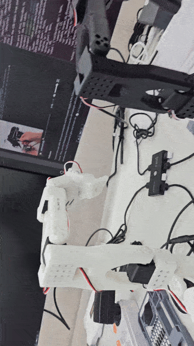 KakaoTalk_20260511_175137570.gif